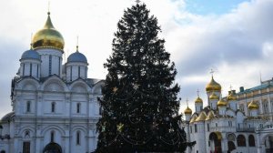 Главную елку страны представили на Соборной площади в Москве