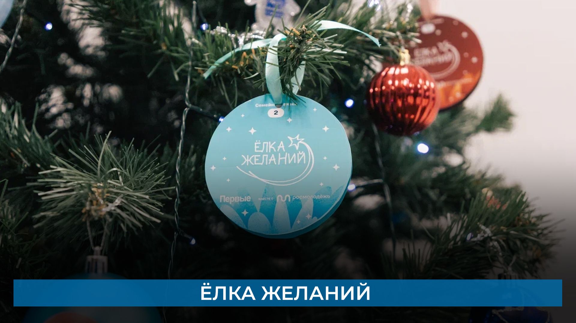 Ёлка желаний