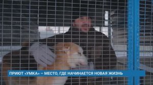 ПРИЮТ «УМКА» – МЕСТО, ГДЕ НАЧИНАЕТСЯ НОВАЯ ЖИЗНЬ