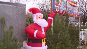 В Севастополе открылись традиционные ёлочные базары