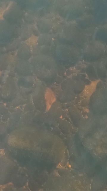 ВИДЕО О ПОИСКЕ БЛЕСЕН ПОД ВОДОЙ смотреть онлайн