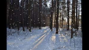 БЕЛЫМ СНЕГОМ ТРОПИНКУ ЗАНЕСЛО.ЛЮБИМЫЕ ПЕСНИ НАШИХ РОДИТЕЛЕЙ.