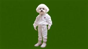 Собака 3_encoded