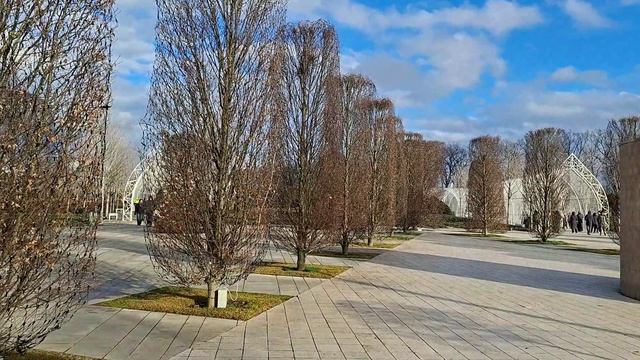 Парк Галицкого. Краснодар. Декабрь 2025 г. смотреть онлайн