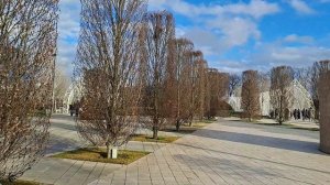 Парк Галицкого. Краснодар. Декабрь 2025 г.