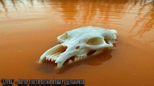 "СТРАХ" - песня