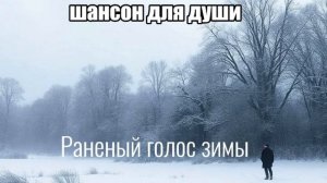 ПЕСНИ ДЛЯ ДУШИ/ШАНСОН/ Раненый голос зимы