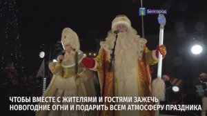 Яркие гирлянды зажглись на главной ёлке региона