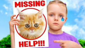 Пропал КОТИК. Отправляемся на поиски