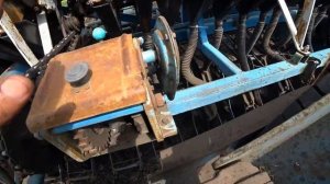 первый день сева суданской травы на сено и зеленый выпас  в этом году поздний 21 мая