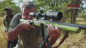 Охота без границ. Зимбабве. Африканский буйвол