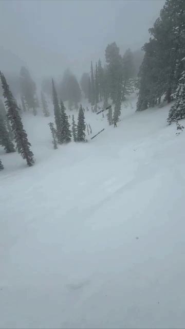 Неудачнй трюк на лыжах в Альпах смотреть онлайн