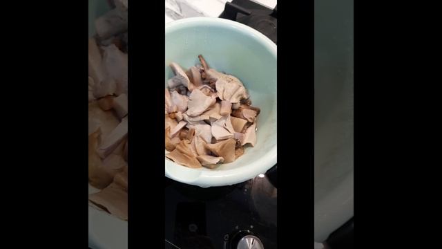 23.12 ГРИБОЧКИ К НОВОГОДНЕМУ СТОЛУ смотреть онлайн