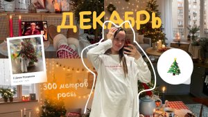 300 метров росы 🤪 Готовимся к Новому Году вместе 🎄