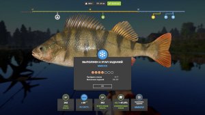 НОВОГОДНИЕ ЗАДАНИЯ 4 ЭТАП - РУССКАЯ РЫБАЛКА 4