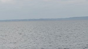 Лёгкий день