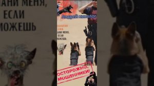 Бьют по морде ,а не по паспорту