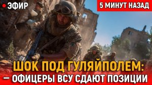 ВСУ помогают русским брать Гуляйполе: Украинские командиры не выдерживают