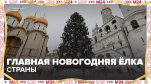 Главную новогоднюю елку страны установили на Соборной площади - Москва 24