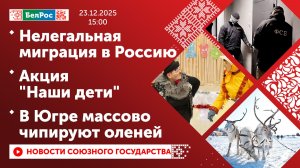 Нелегальная миграция в Россию / Акция "Наши дети" / В Югре массово чипируют оленей