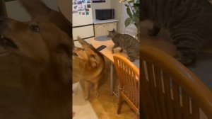 Вся жизнь борьба