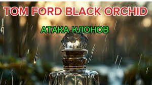 Клоны на TOM FORD BLACK ORCHID