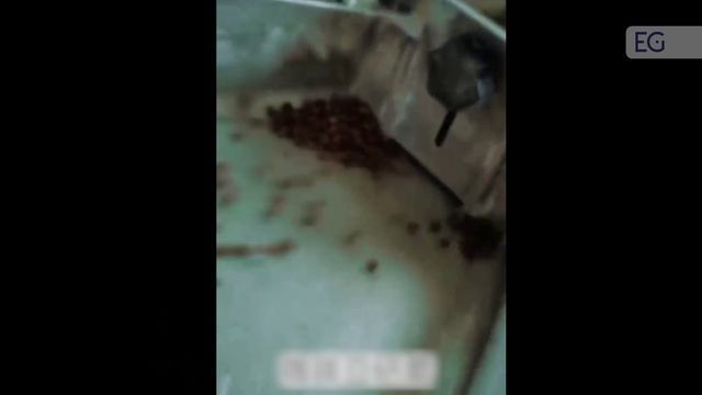 Универсальная молотковая мельница для кофе 250 смотреть онлайн