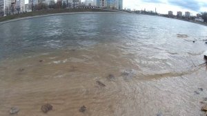 ОКА - ВРЕМЕНА ГОДА