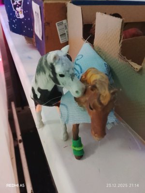 чем занимаются лошади пока нас нету в конюшне!?