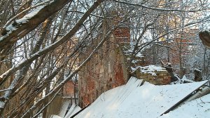 (Рыбинск-40) УСАДЬБА МИХАЛКОВЫХ: БУДУЩЕЕ ОБЪЕКТА