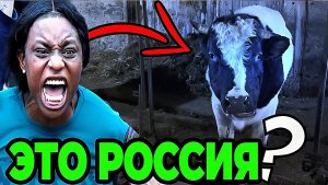 Иностранцы в гостях у России: британцы открывают для себя современную Москву и русскую деревню