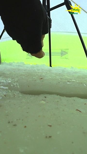 Ловля леща на сало. Соленое с чесноком смотреть онлайн