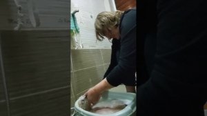 Как Снежок принимает ванночки