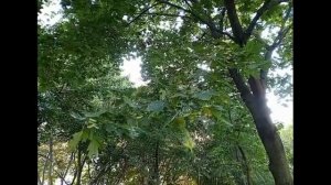 Нагатинская набережная. Москва (часть 3)