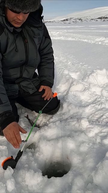 ГОЛЕЦ смотреть онлайн