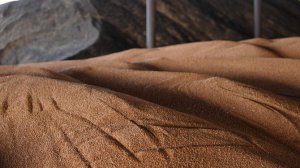 В правительстве ждут урожай зерна в 137 млн т