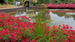 1000010504.mp4.  " почему жизнь после сорока , только начинается...