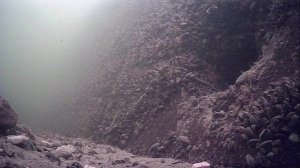 1000006741.mp423.12.2025г.