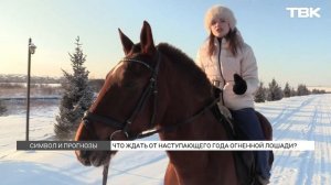 Чего ждать от Красной Огненной Лошади в 2026 году?