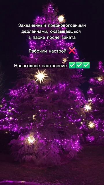Тем временем 23.12.025...Новогоднее настроение в парке Галицкого(Краснодар) смотреть онлайн
