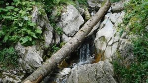 ВИДЕО  ПВН  ББ   (1639)