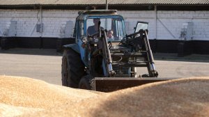 Патрушев: РФ по итогам сезона может экспортировать 53–55 млн тонн зерновых