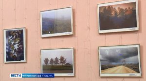 События Череповца: похолодание, отключение воды, фотовыставка, книжная ярмарка, спектакль