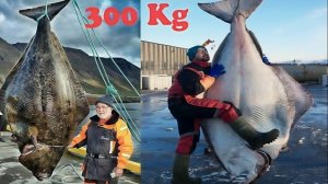 Морская рыбалка, поймал рыбку 300кг.