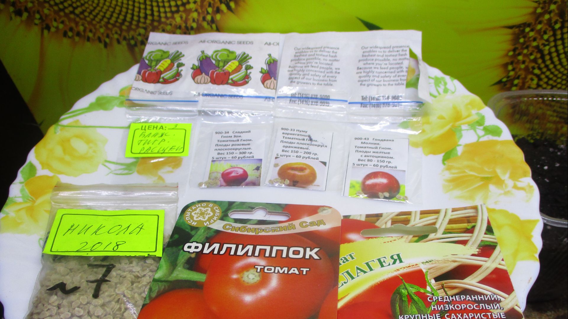 Посеяла семена томатов с ОЗОНа! Проверяю всхожесть семян с ОЗОНА заранее!