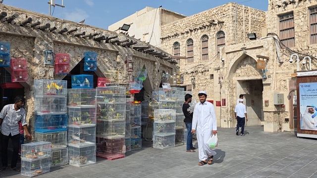 птичий рынок Доха Катар