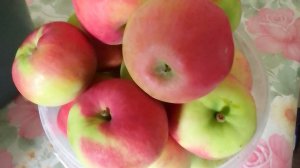 итоги уходящего года