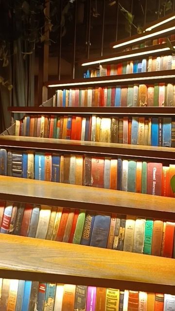 Книжный магазин, где проходит милонга Minoa Pera, Стамбул (Book Shop, Milonga Minoa Pera, Istanbul)