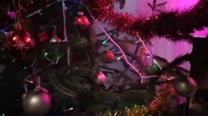 Наряжаем ёлку.