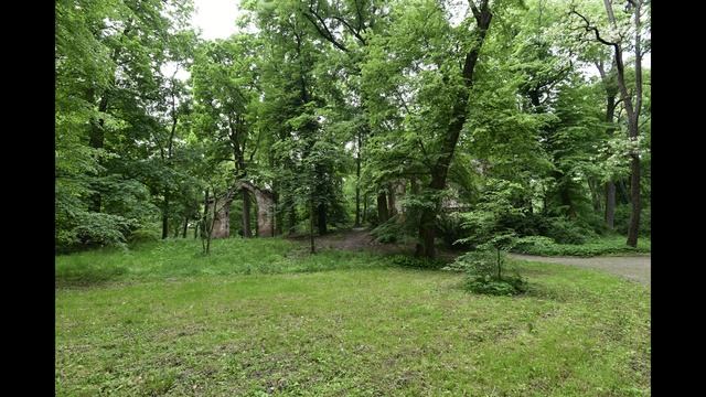 Arkadia  16 мая 2018